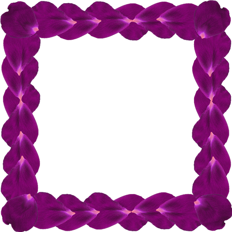 Cadre Pétales De Fleur Frame Clipart, Orange Red, Photoshop, - Png Download (800x800), Png Download