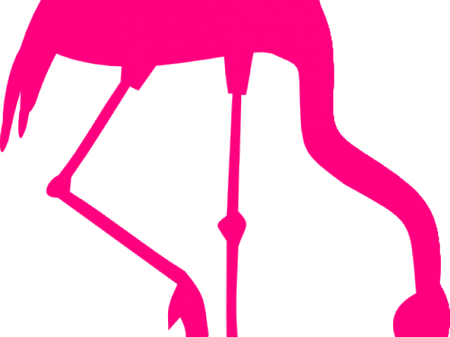 Flamingo Clipart Silhouette - Png Download (640x480), Png Download