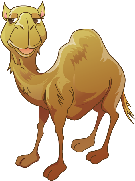 Bactrian Camel Clip Art - Png Download (1000x800), Png Download