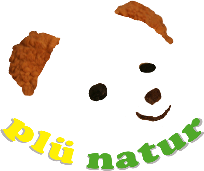 Plue Natur Logo Clipart (709x600), Png Download