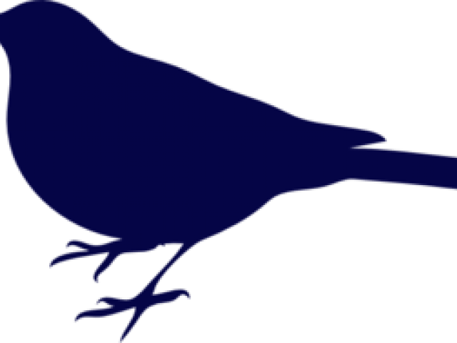 Navy Clipart Blue Bird - Png Download (640x480), Png Download