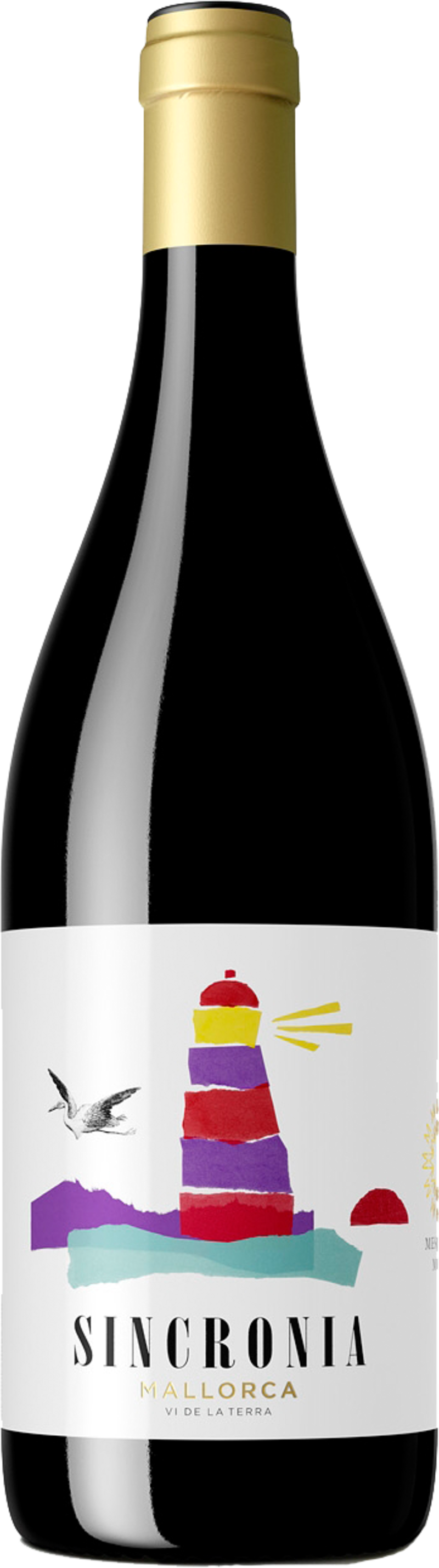 Sincronia Negre Clipart (800x2858), Png Download