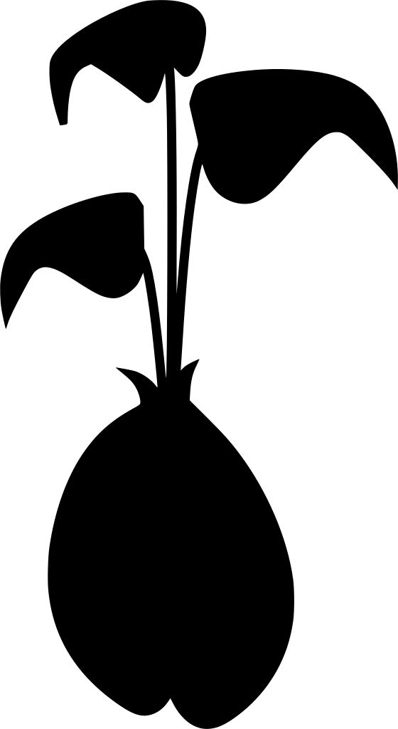 Info Clipart (560x1024), Png Download