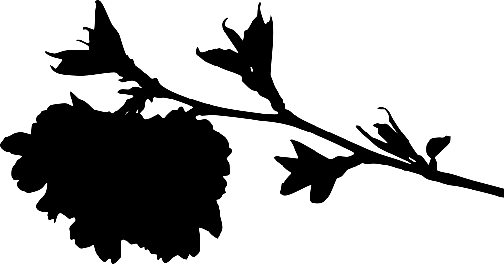Info Clipart (1024x536), Png Download