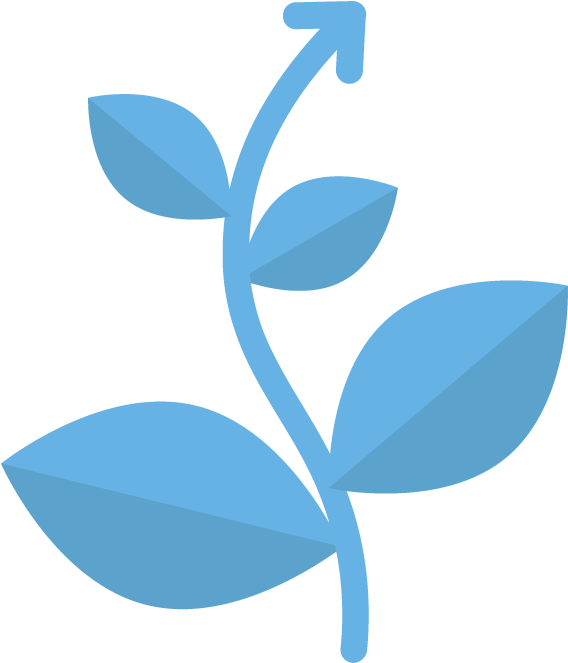 Grafik Pflanze Clipart (575x670), Png Download