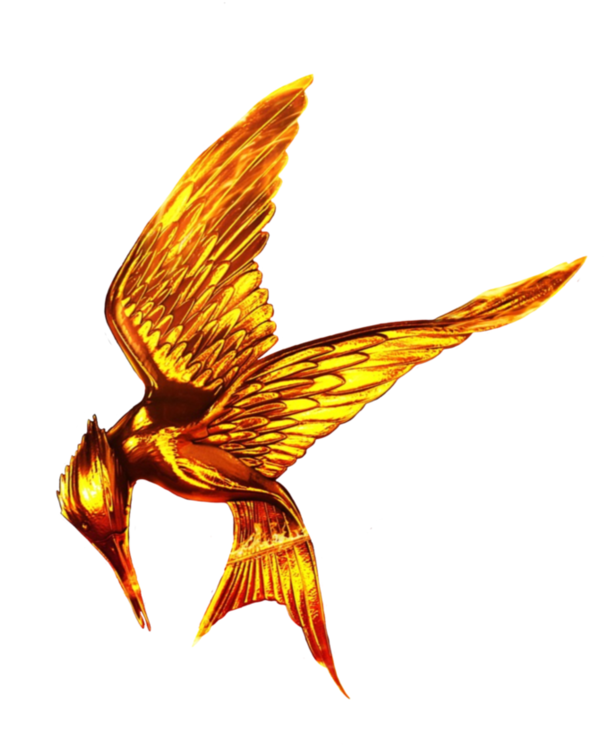 Mockingjay Png