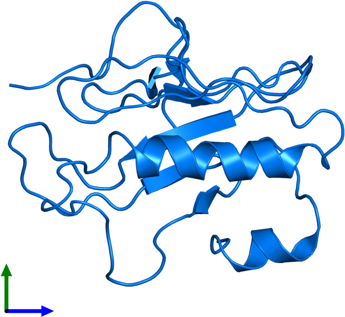 Running Shoe Images Clip Art Png Download Full Size Clipart running-shoe-images-clip-art-png-download-full-size-clipart