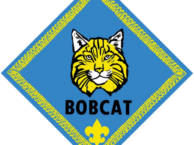 Cub Clipart Baby Bobcat - Png Download (640x480), Png Download