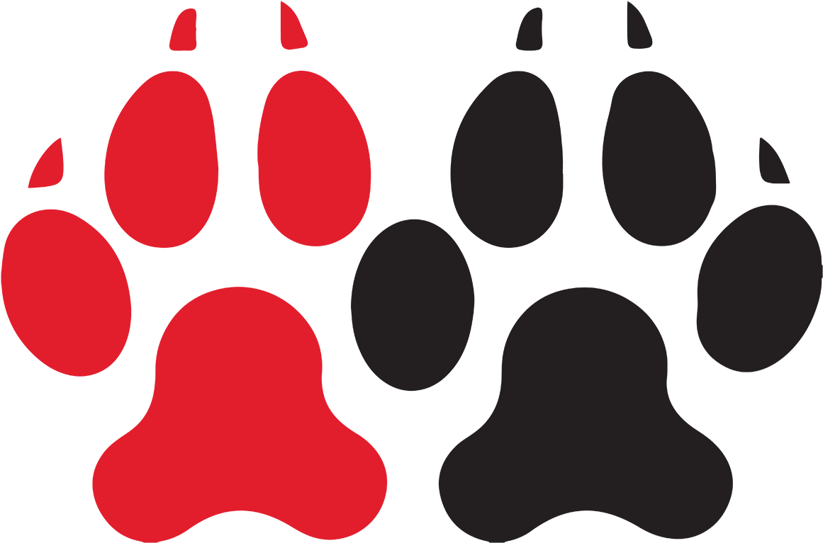 Northeastern University Huskies Men Clipart (1200x1200), Png Download