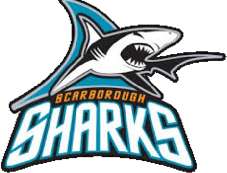 Scarborough Sharks Bantam B Girls Hockey Team Clipart (480x355), Png Download