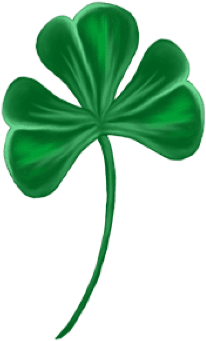 Free Png Download Shamrock Png Images Background Png Clipart (480x735), Png Download