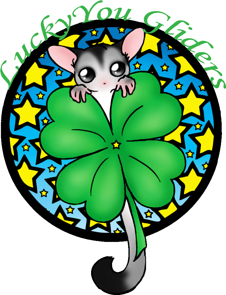 Sugar Glider Clipart Beautiful - Png Download (900x1000), Png Download