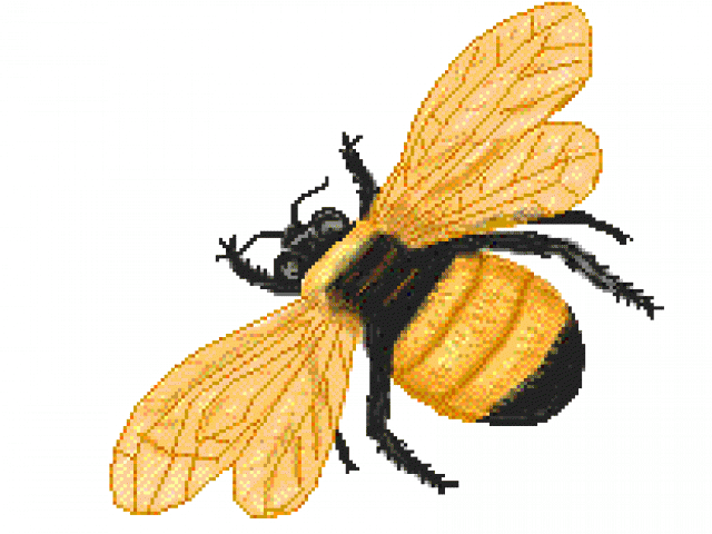 Bee Clipart King - Png Download (640x480), Png Download