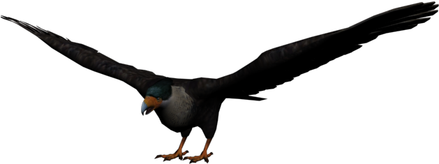 Bald Eagle Clipart Dead Eagle - Png Download (640x480), Png Download