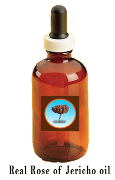 Oil Clipart Baptism Oil - Png Download (740x660), Png Download