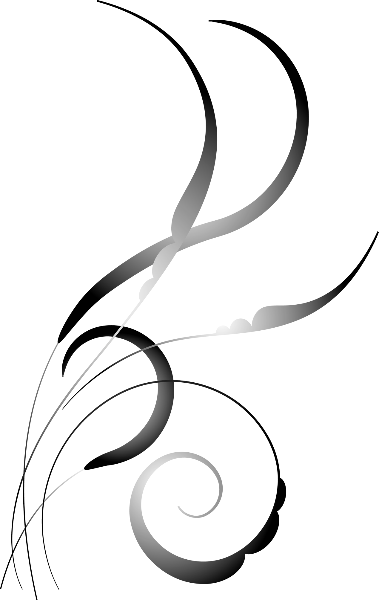 free-clip-art-shapes-png-download-full-size-clipart-2627637