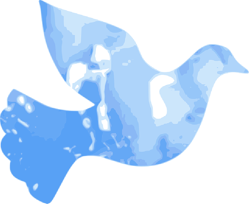 Holy Spirit Course Clipart (800x655), Png Download