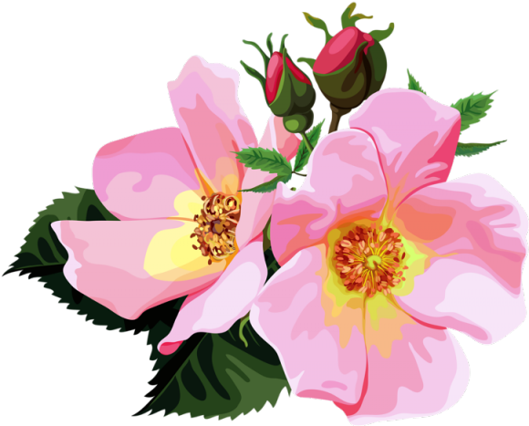 Bouquet Clipart October Flower - Png Download (640x480), Png Download