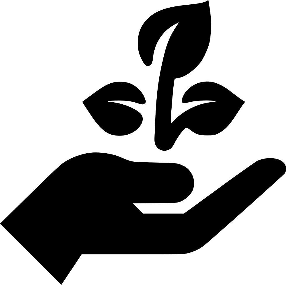 Grow Images Png File Hd Clipart (800x798), Png Download