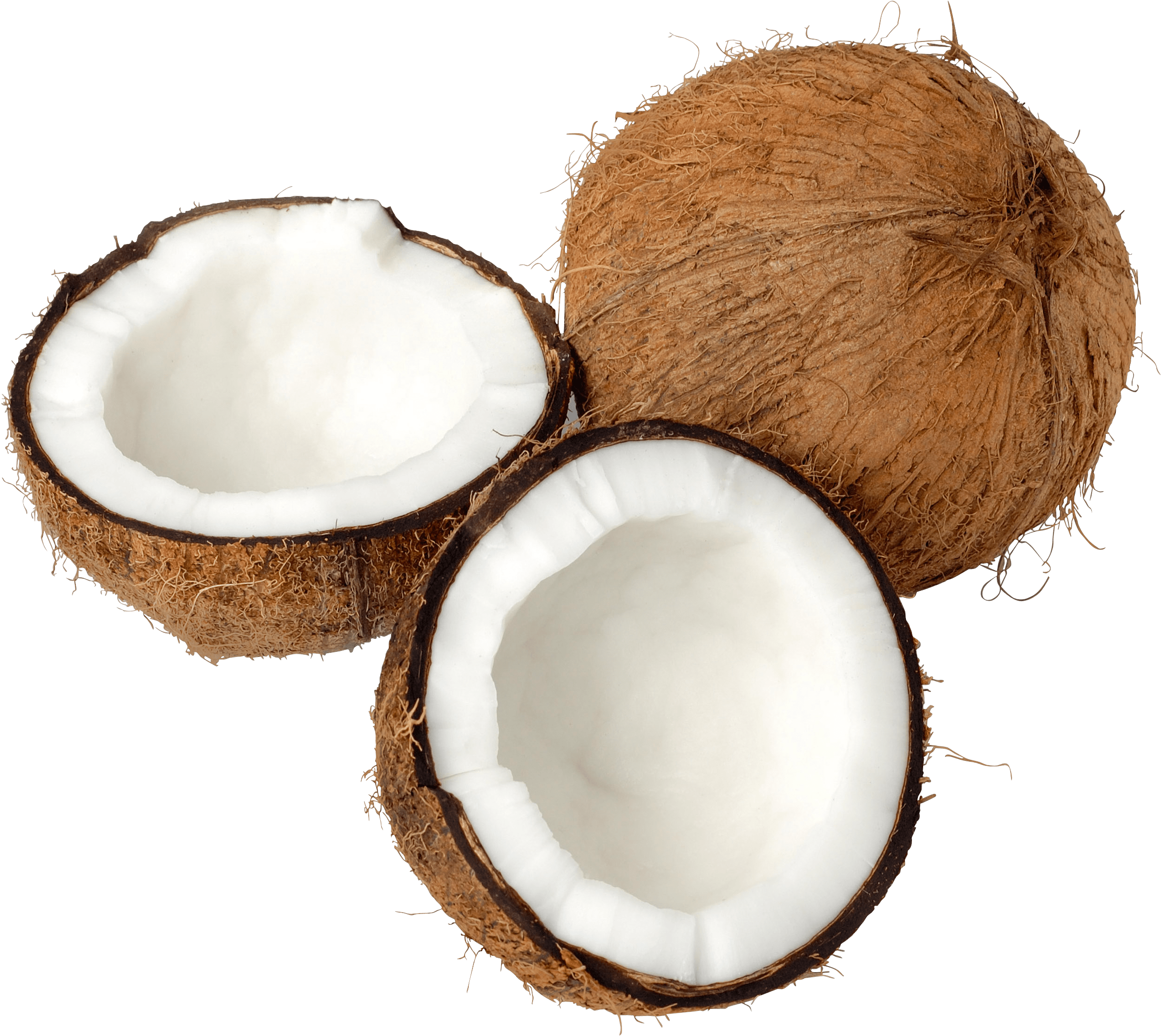 Coconut Clipart High Resolution - Png Download (2492x2223), Png Download