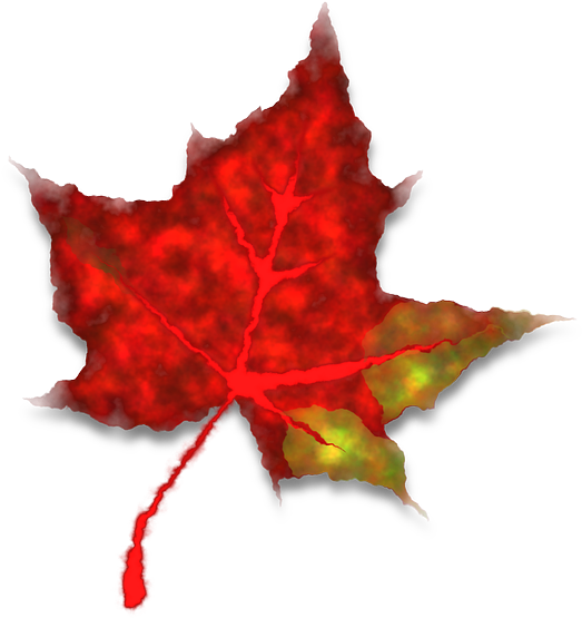Red Maple Leaf Tree Fall Leaves Png Image Clipart (1280x1168), Png Download