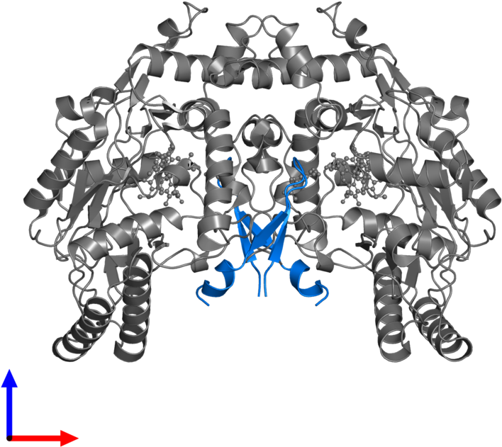 <div Class='caption-body'>pdb Entry 4ux6 Contains 2 Clipart (800x800), Png Download