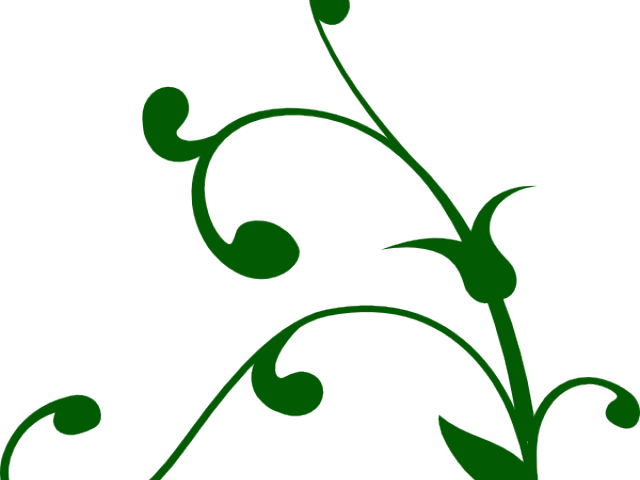 Curly Clipart Stem - Png Download (640x480), Png Download