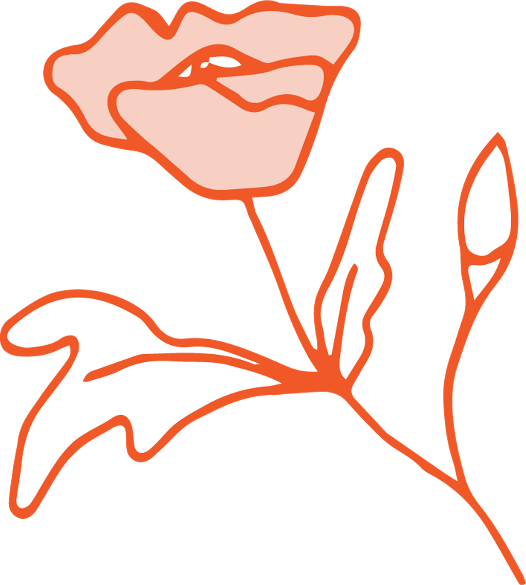 Doodle Flower Floral Garden Border Orange Outline Ftest Clipart (1024x1140), Png Download