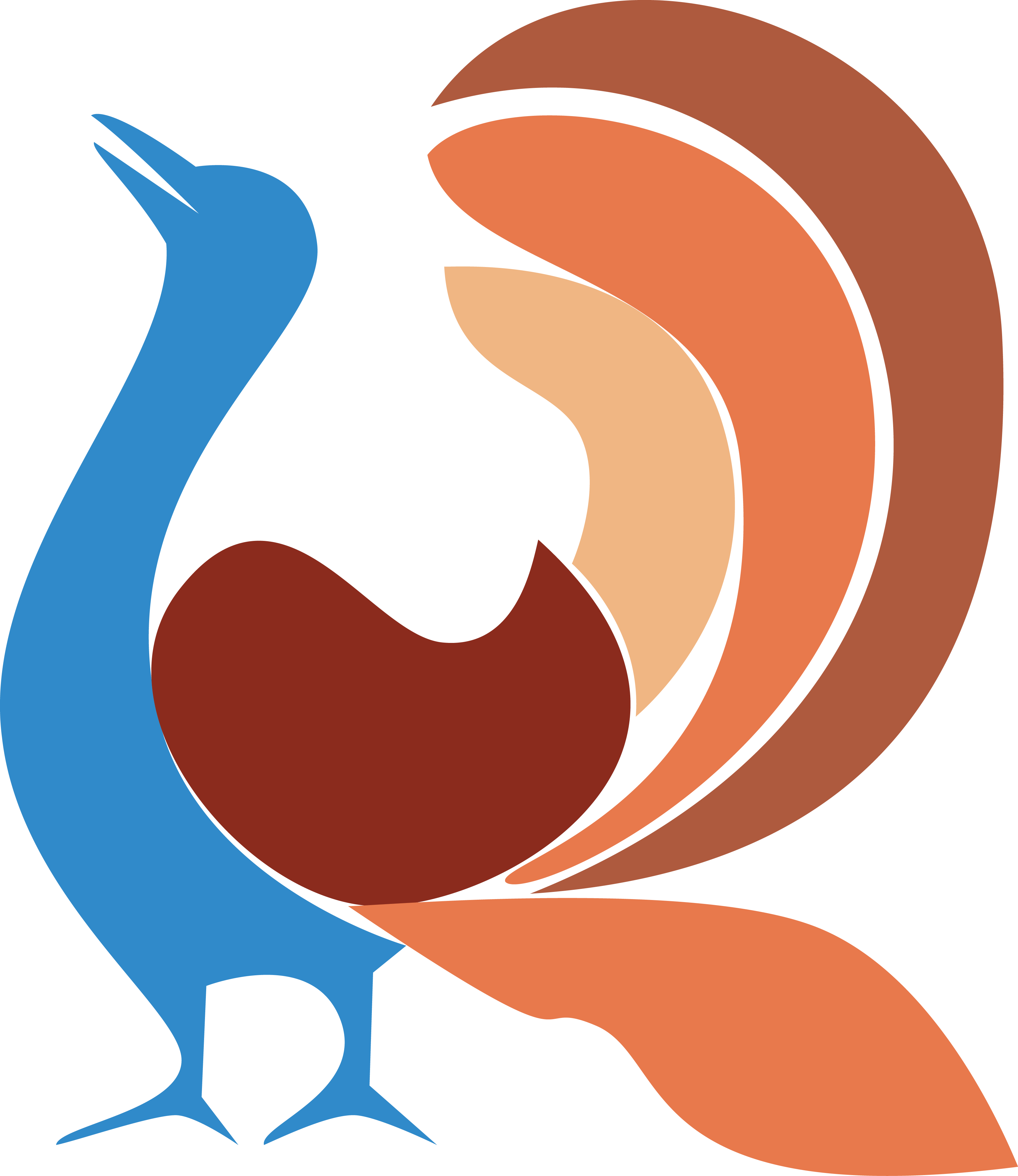 Png Coloured Clipart (3392x3920), Png Download
