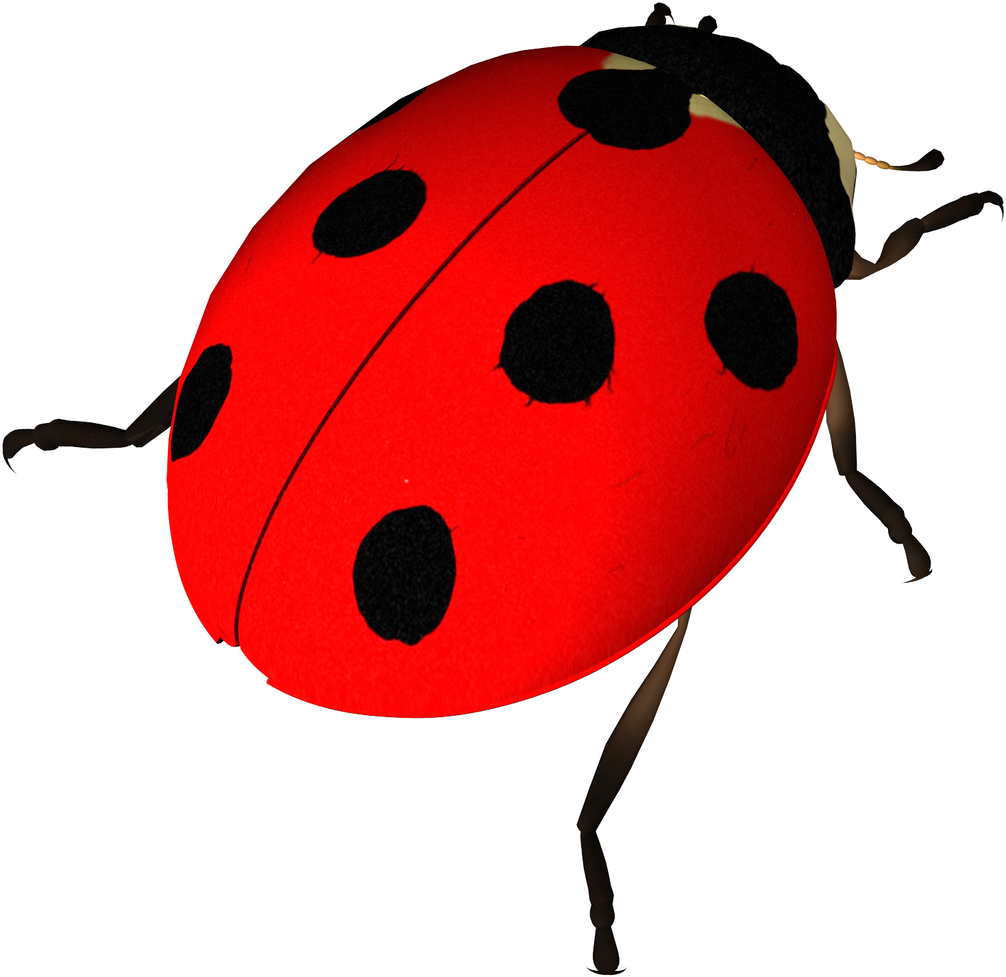 Insect Ladybird Clip Art Transprent Png Free Transparent Png (1667x1589), Png Download
