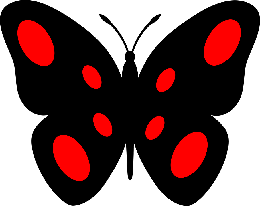 Butterfly, Decor, Beetle, Insect Clipart (908x720), Png Download