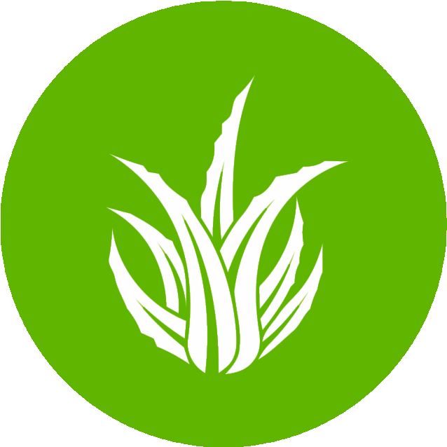 Aloe Vera Clipart (706x706), Png Download