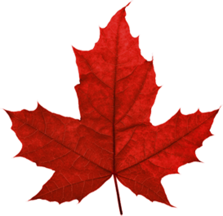 Clip Art Images - Png Download (850x826), Png Download