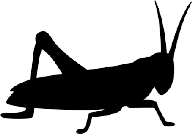 Insect Clipart Silhouette - Png Download (640x480), Png Download