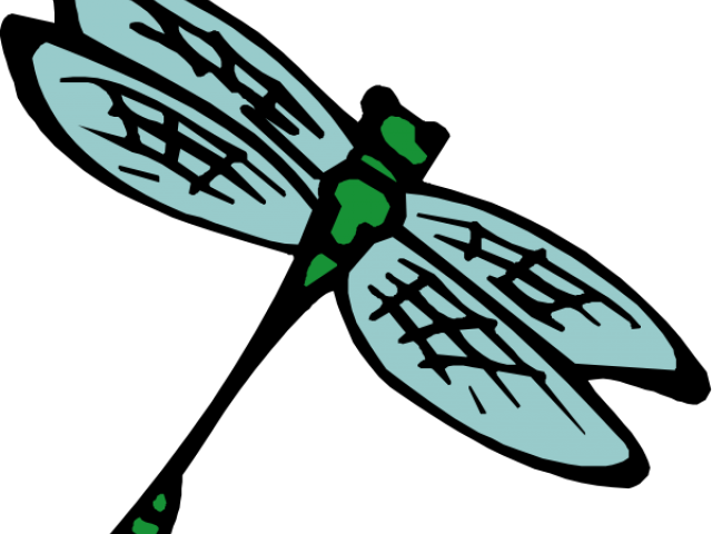 Bug Clipart Insect - Png Download (640x480), Png Download