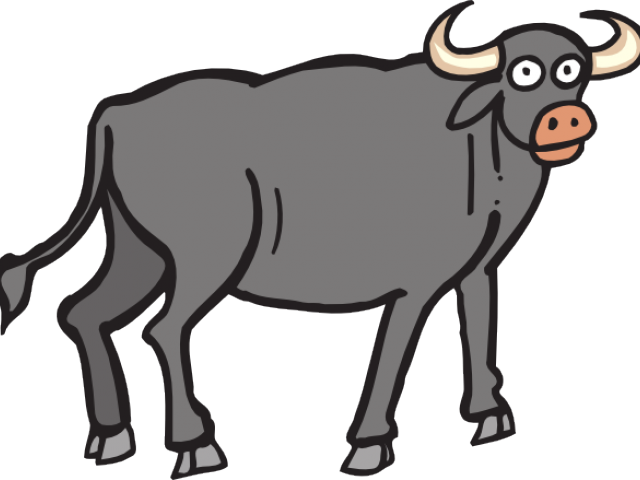 Buffalo Clipart Png Download Full Size Clipart 2645765 Pinclipart