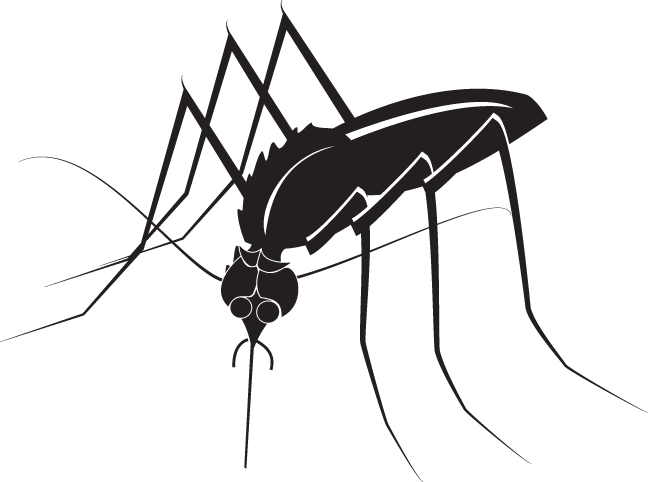 363ra - Mosquito - 363ra - Mosquito Clipart (648x482), Png Download