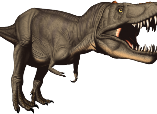 Tyrannosaurus Rex Clipart Friendly - Png Download (640x480), Png Download