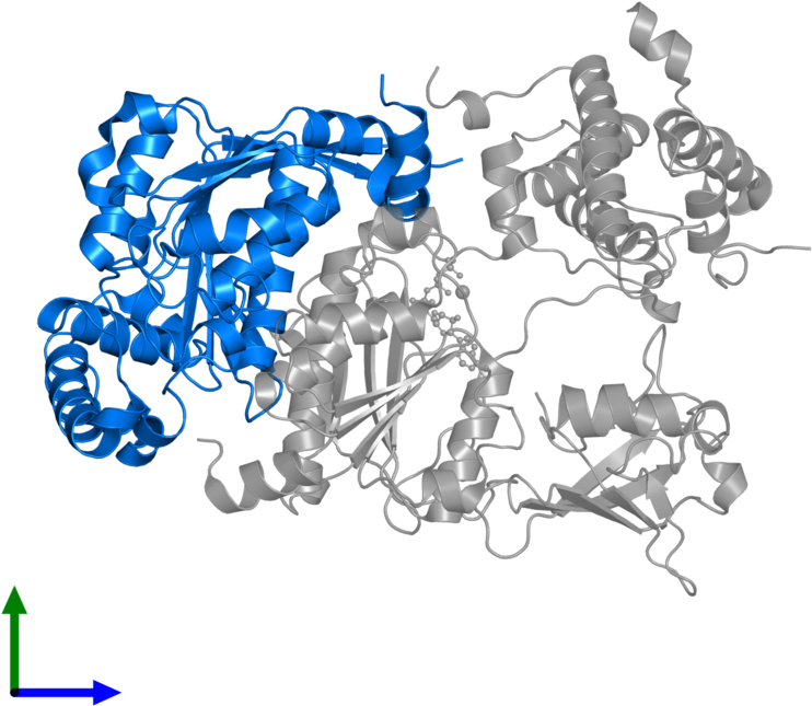 <div Class='caption-body'>pdb Entry 1y8q Contains 1 Clipart (800x800), Png Download
