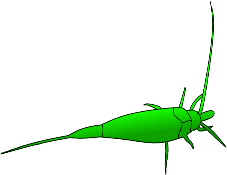 Grasshopper Clipart Dead - Png Download (880x743), Png Download