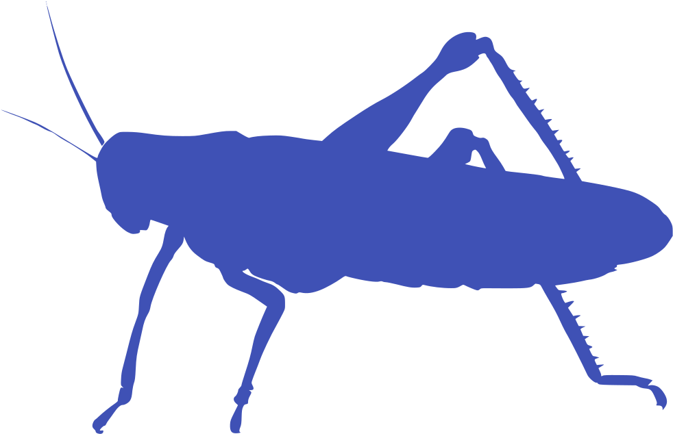 Info Clipart (1024x646), Png Download