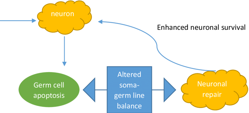 Environmental Factors Such As Sharing Meaningful Information Clipart (850x386), Png Download