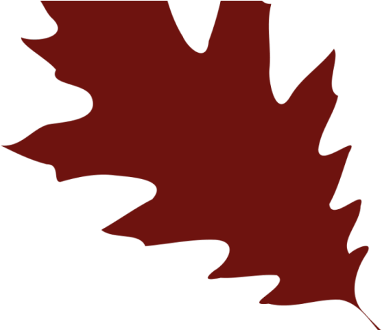 Maple Leaf Clipart - Png Download (640x480), Png Download
