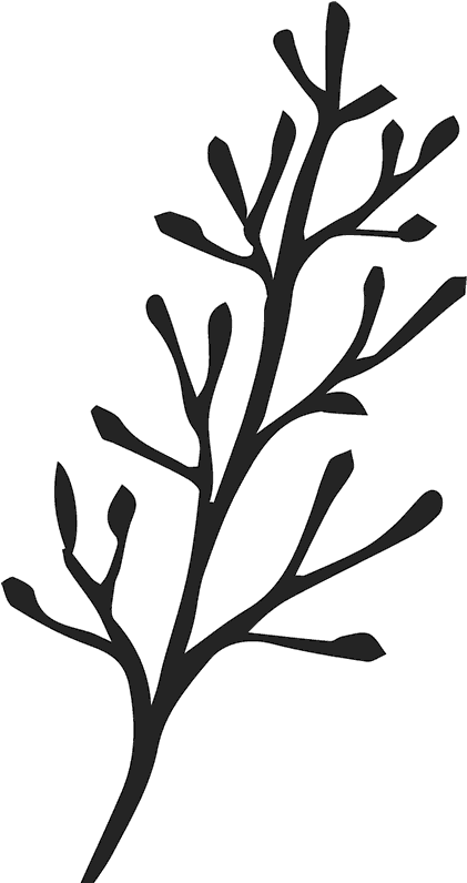 Bare Branch Sketch Rubber Stamp Clipart (421x796), Png Download