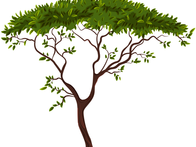 Life Clipart African Tree - Png Download (640x480), Png Download
