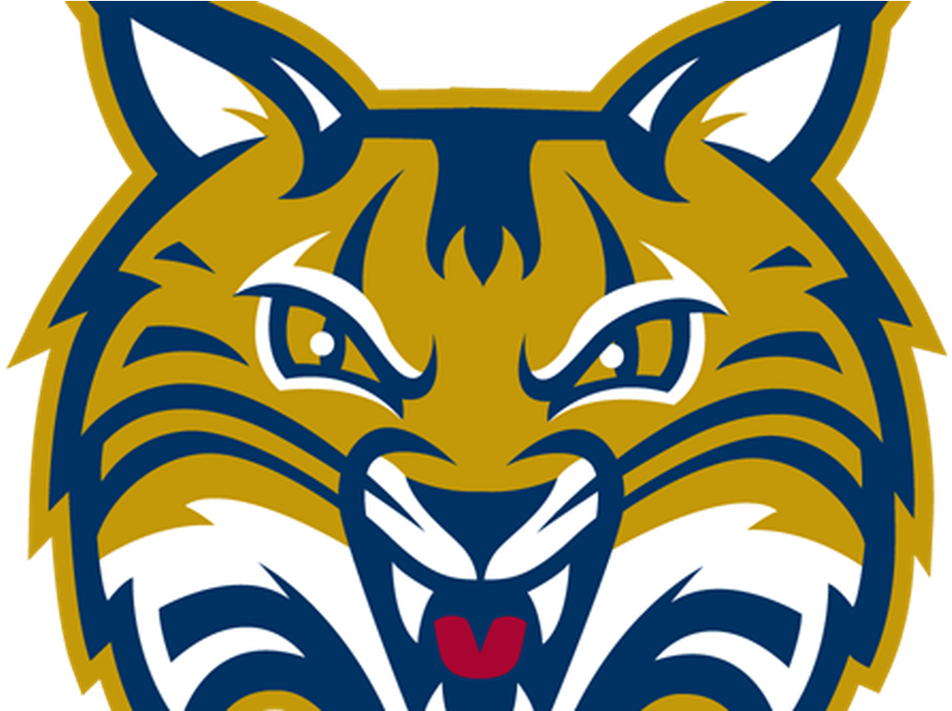 Bobcat Clipart Scared - Png Download (1200x800), Png Download