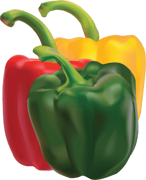 Green Bell Pepper Chili Pepper Mexican Cuisine Cayenne Clipart (609x750), Png Download