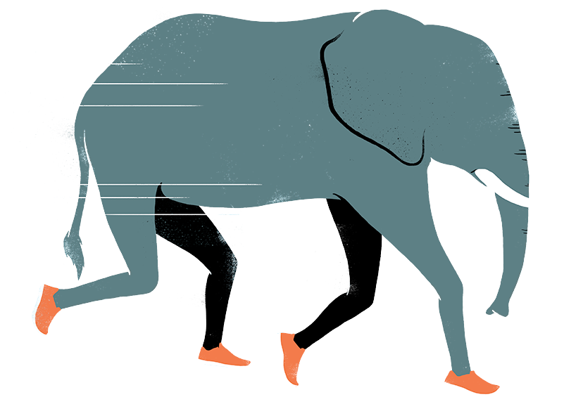 Elephant-home Clipart (800x639), Png Download