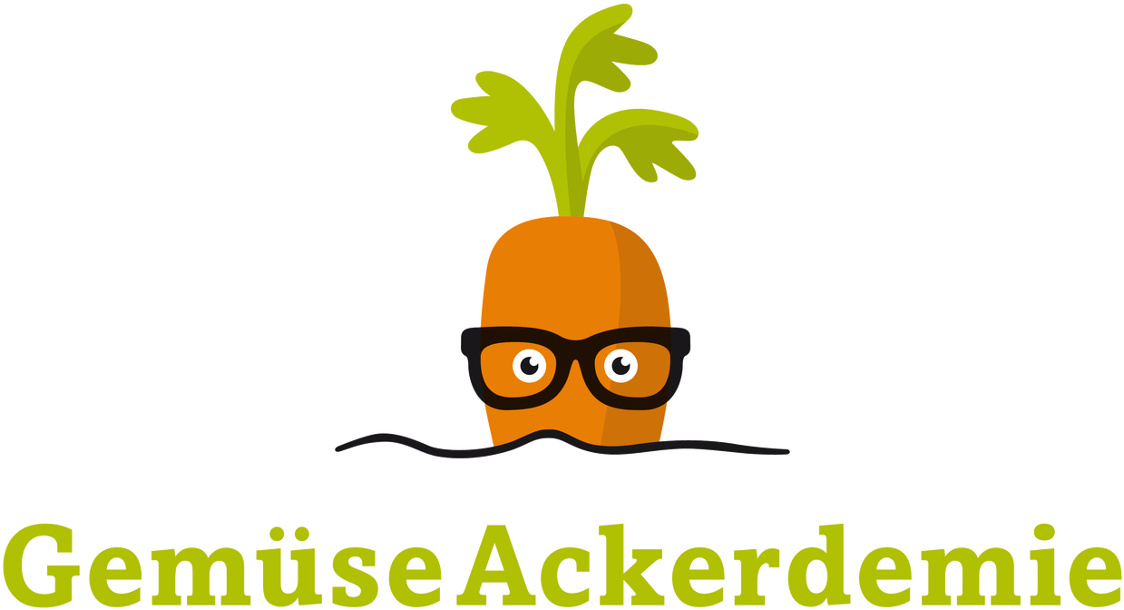 "don't Put All Your Eggs In One Basket" Clipart (1280x734), Png Download