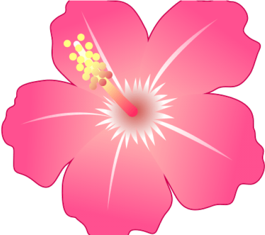 Hibiscus Clipart Emoji - Png Download (640x480), Png Download